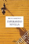 Esperando Sevilla libro