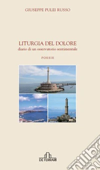 Liturgia del dolore. Diario di un osservatorio sentimentale libro