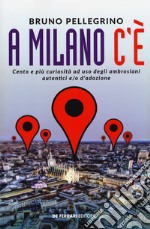 A Milano c'è. Cento e più curiosità ad uso degli ambrosiani autentici e/o d'adozione libro