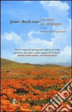 Un mese in campagna libro