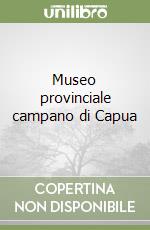 Museo provinciale campano di Capua libro