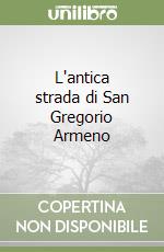L'antica strada di San Gregorio Armeno libro