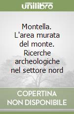 Montella. L'area murata del monte. Ricerche archeologiche nel settore nord