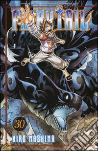 Fairy Tail. Vol. 30