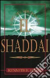 El Shaddai. Il Dio dell'abbondanza libro