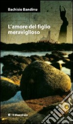 L'amore del figlio meraviglioso libro