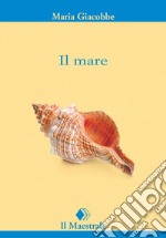 Il mare libro