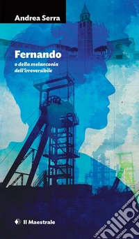Fernando o della melanconia dell'irreversibile libro