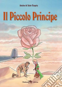 Il Piccolo Principe libro