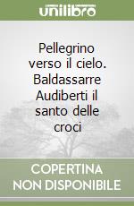 Pellegrino verso il cielo. Baldassarre Audiberti il santo delle croci libro