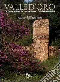 Valle d'Oro. Parco archeologico e paesaggistico. Studio di fattibilità