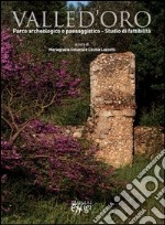 Valle d'Oro. Parco archeologico e paesaggistico. Studio di fattibilità libro