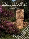 Valle d'Oro. Parco archeologico e paesaggistico. Studio di fattibilità libro