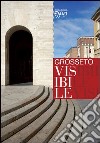 Grosseto visibile. Guida alla città e alla sua arte pubblica libro