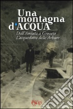 Una montagna d'acqua. Dall'Amiata a Grosseto. L'acquedotto delle Arbure libro