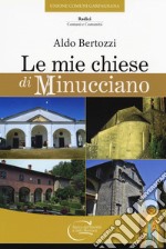 Le mie chiese di Minucciano libro