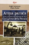 Acqua passata. Storia e memoria dell'alluvione del '66 a Castiglione della Pescaia libro