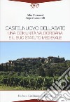 Castelnuovo dell'Abate. Una comunità valdorciana e il suo statuto medievale libro