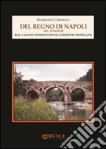 Del regno di Napoli sec. XVII-XVIII. Dal casato investigato il contesto disvelato