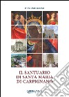 Il santuario di Santa Maria di Carpignano libro