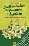 Quell'industria del forestiere... In Irpinia. Paesaggio e turismo nella prima metà del novecento libro di Stroffolino Daniela