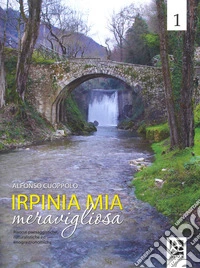 Irpinia mia meravigliosa. Ediz. a colori. Vol. 1 libro