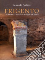 Frigento. Un'oncia d'oro pro futuro viaggio ultramaris. Ediz. illustrata