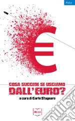 Cosa succede se usciamo dall'euro? libro