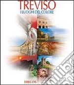 Treviso. I luoghi del colore. Ediz. multilingue libro