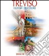 Treviso. I luoghi del colore. Ediz. multilingue libro