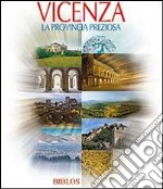 Vicenza. La provincia preziosa. Ediz. illustrata libro