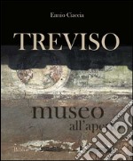 Treviso museo all'aperto. Ediz. bilingue libro