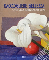 Raccogliere bellezza. Opere della collezione Centanini. Ediz. illustrata libro