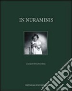 In Nuraminis libro