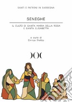 Seneghe. Il culto di Santa Maria della Rosa e Santa Elisabetta libro