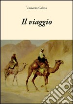 Il viaggio libro