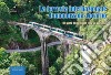 La ferrovia internazionale Domodossola-Locarno. 100 anni di treni dal Toce al Verbano libro