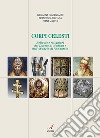 Corpi celesti. Reliquie e reliquiari del Duomo di Modena e dell'Abbazia di Nonantola libro