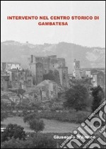 Analisi e intervento nel centro storico di Gambatesa (1978-1980) libro