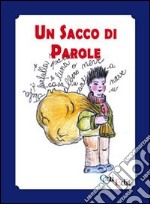 Un sacco di parole. Manuale di didattica della lingua madre nella scuola dell'infanzia libro