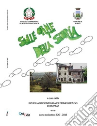 Sulle orme della storia libro