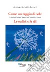 Come un raggio di sole. La scuola dell'infanzia «Raggio di sole». Skofja Loka, Slovenia libro