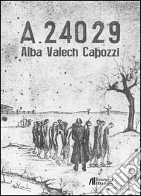 A-24029