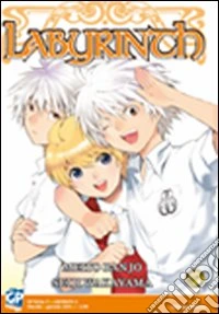 Labyrinth. Vol. 5 libro