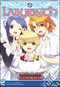 Labyrinth. Vol. 6 libro