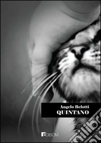Quintano 11