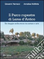 Il parco rupestre di Lama d'Antico. Un viaggio nella storia tra natura e arte libro