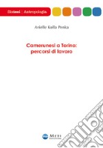 Camerunesi a Torino: percorsi di lavoro