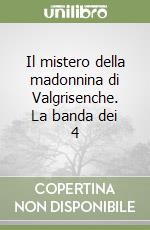 Il mistero della madonnina di Valgrisenche. La banda dei 4 libro