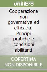 Cooperazione non governativa ed efficacia. Principi pratiche e condizioni abilitanti libro